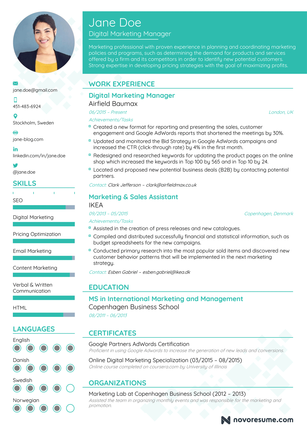Functional Chronological Resume Template
