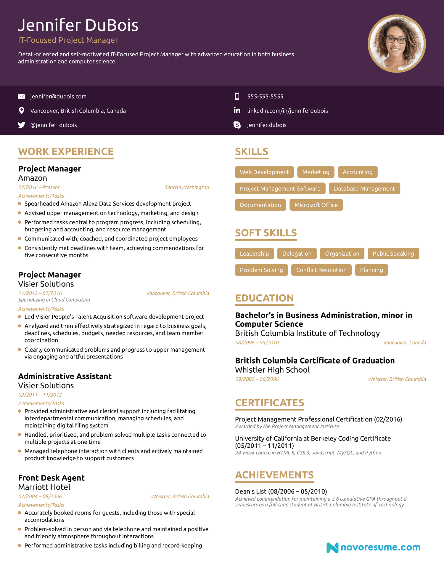Project Manager Chronological Resume