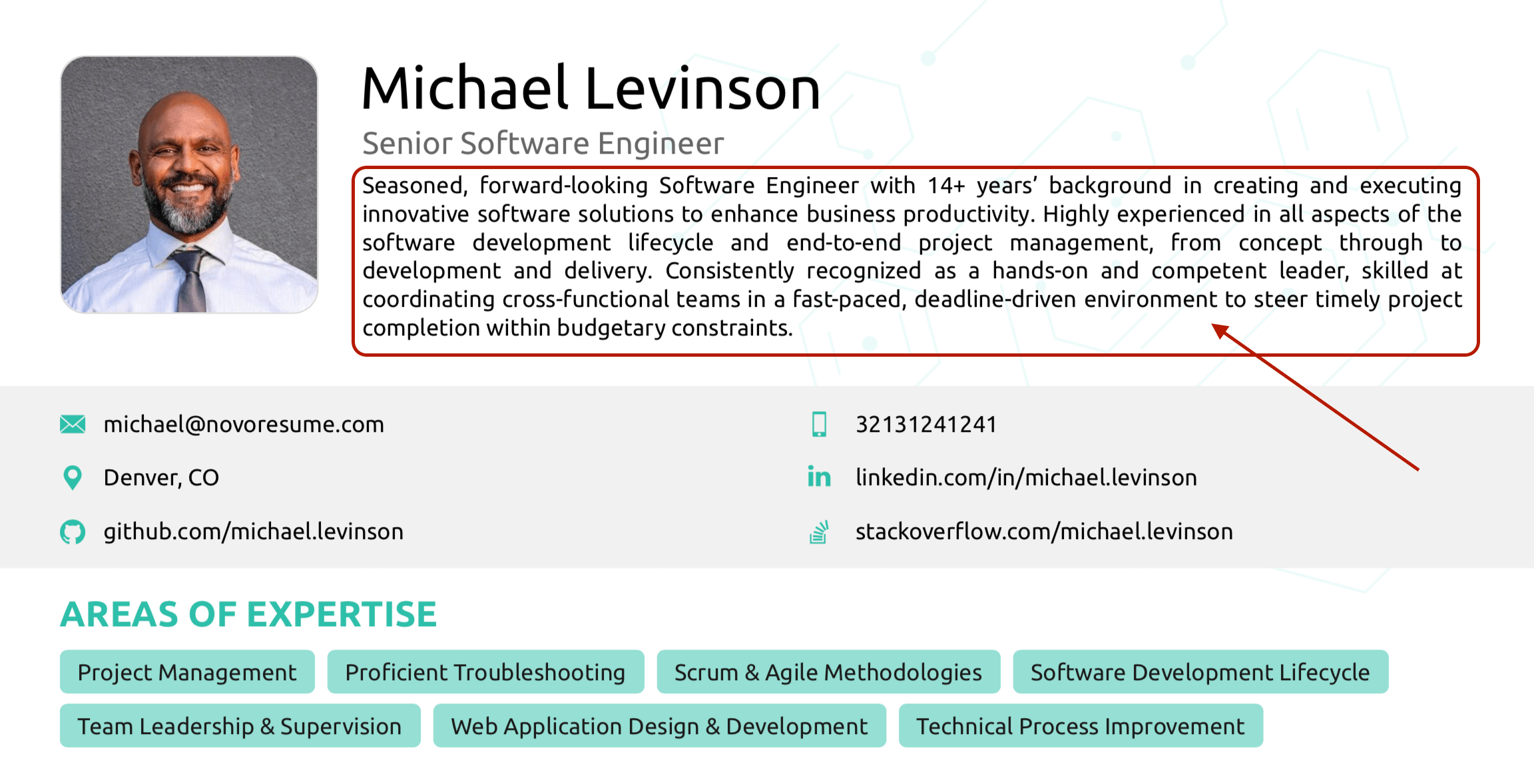 software engineer resume summary