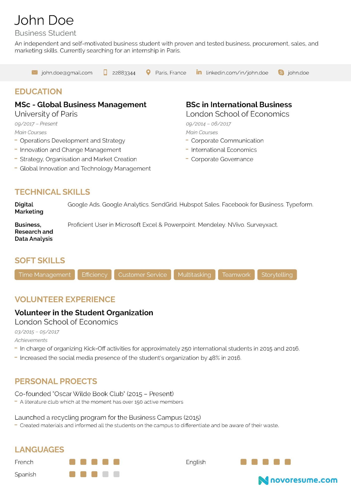 College Student CV