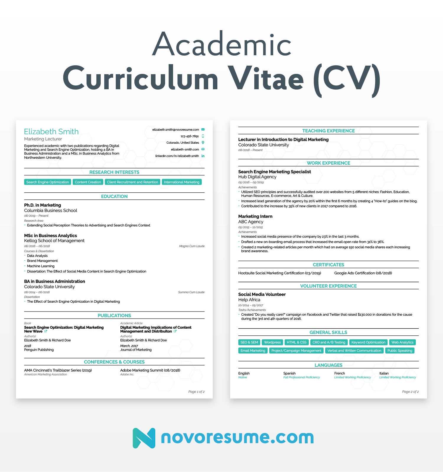 curriculum vitae cv sample