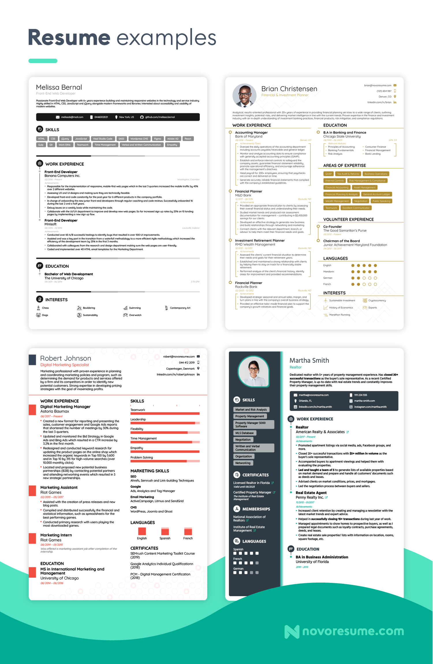 cv examples