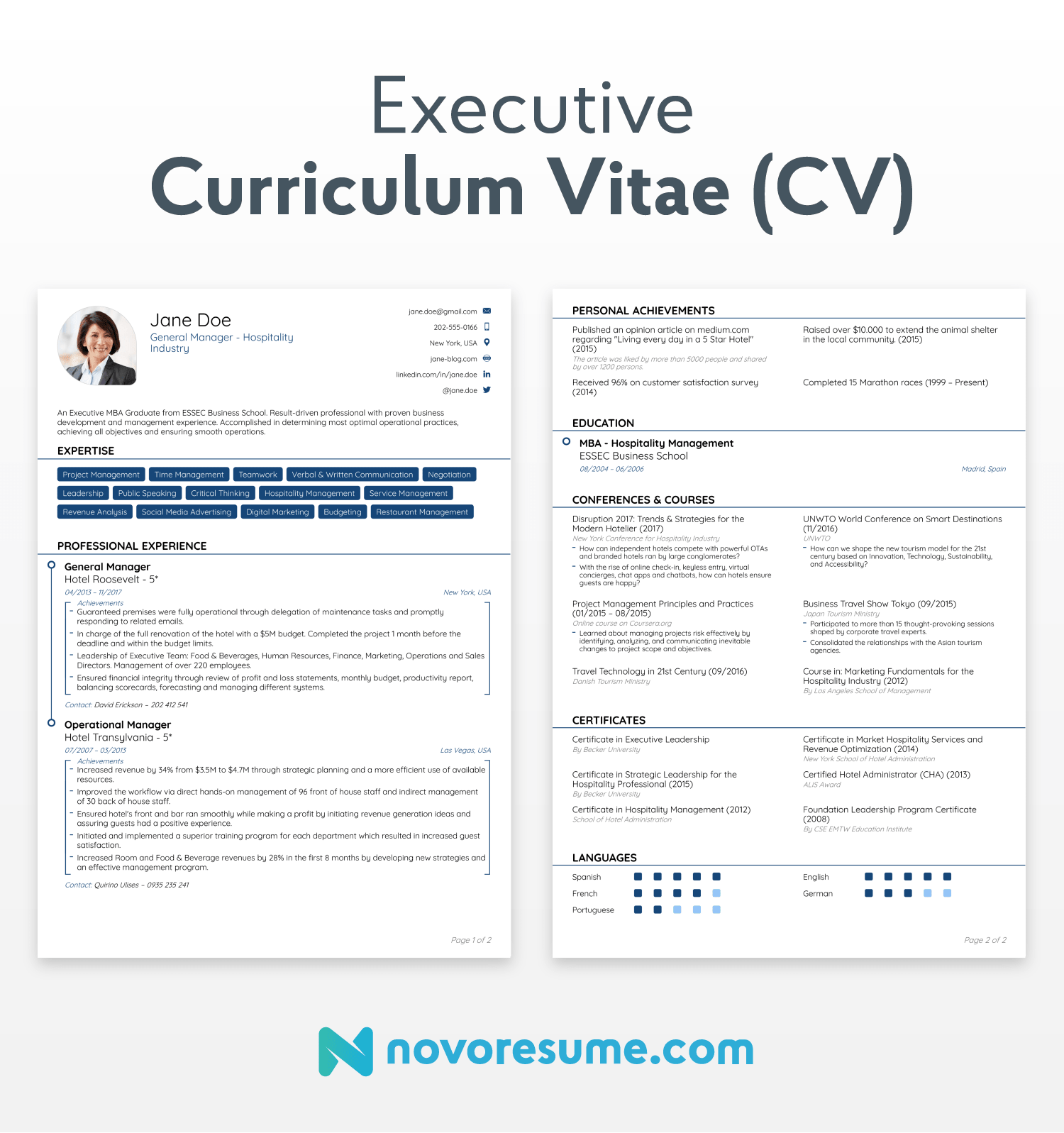 executive cv template