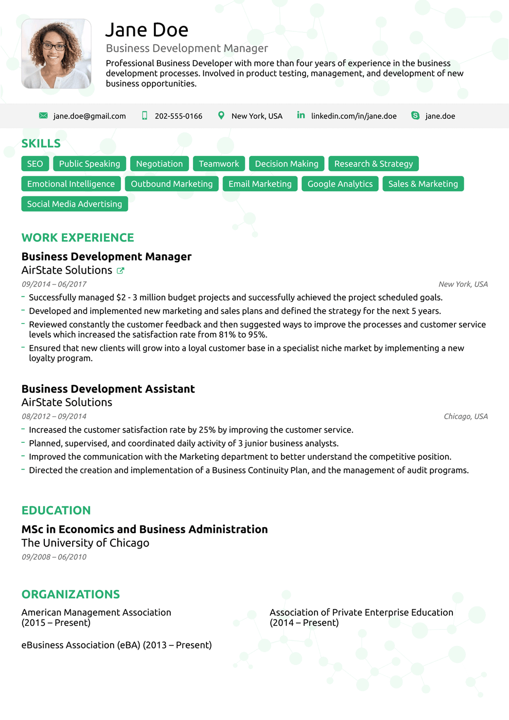 one page executive resume template