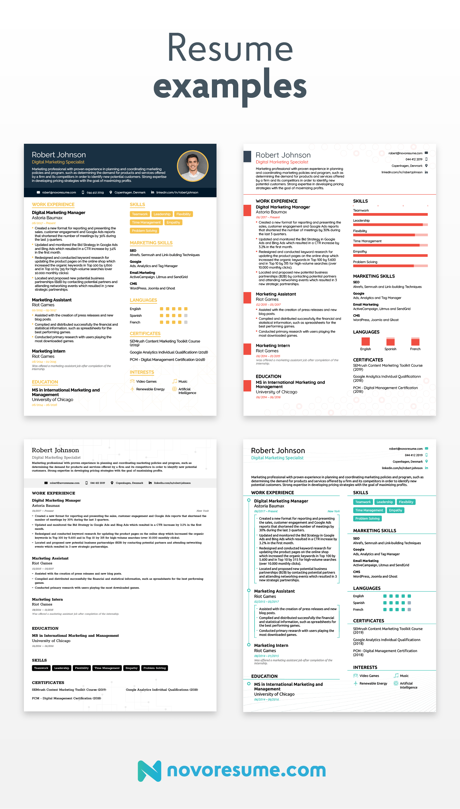 one page resume example