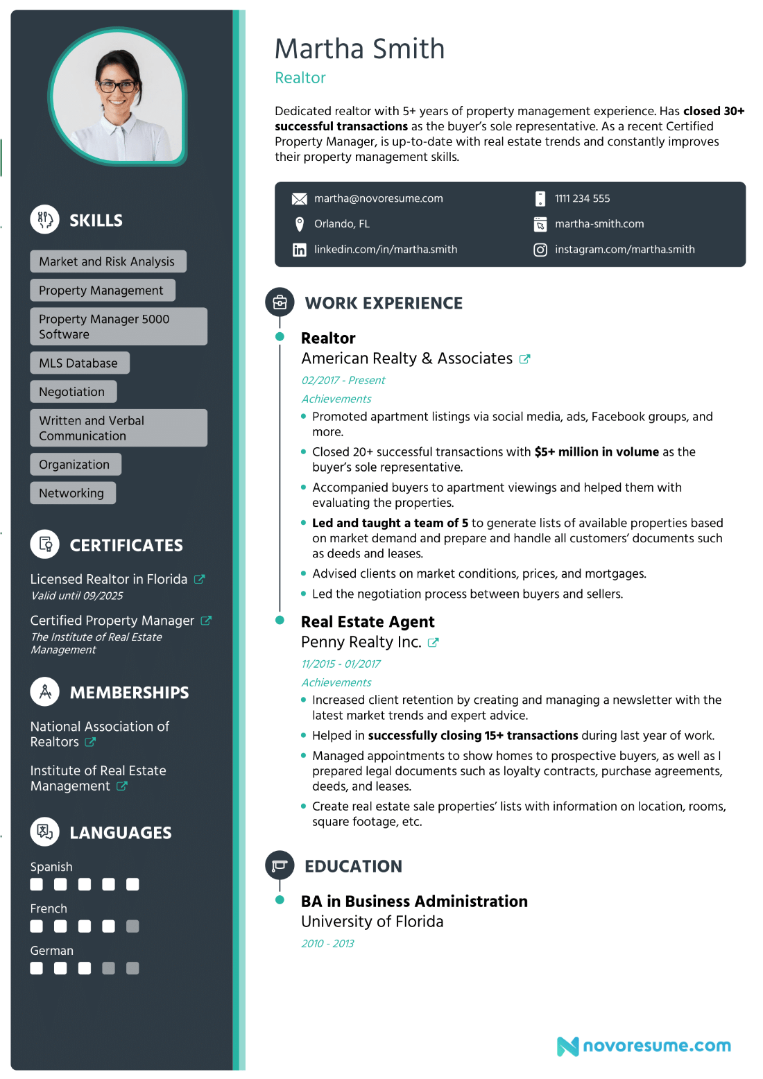 Real Estate Agent Resume Example