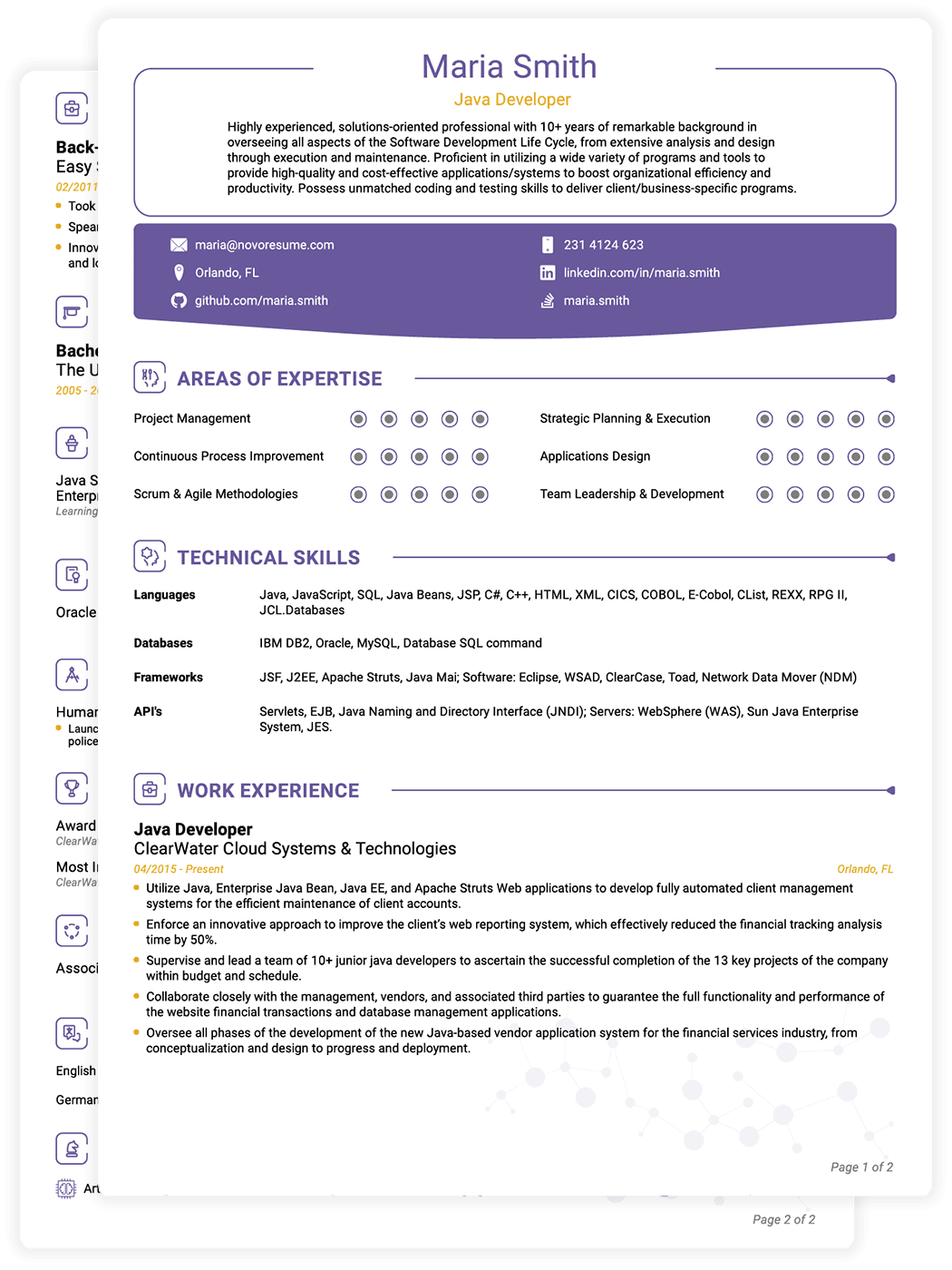 Traditional CV Template