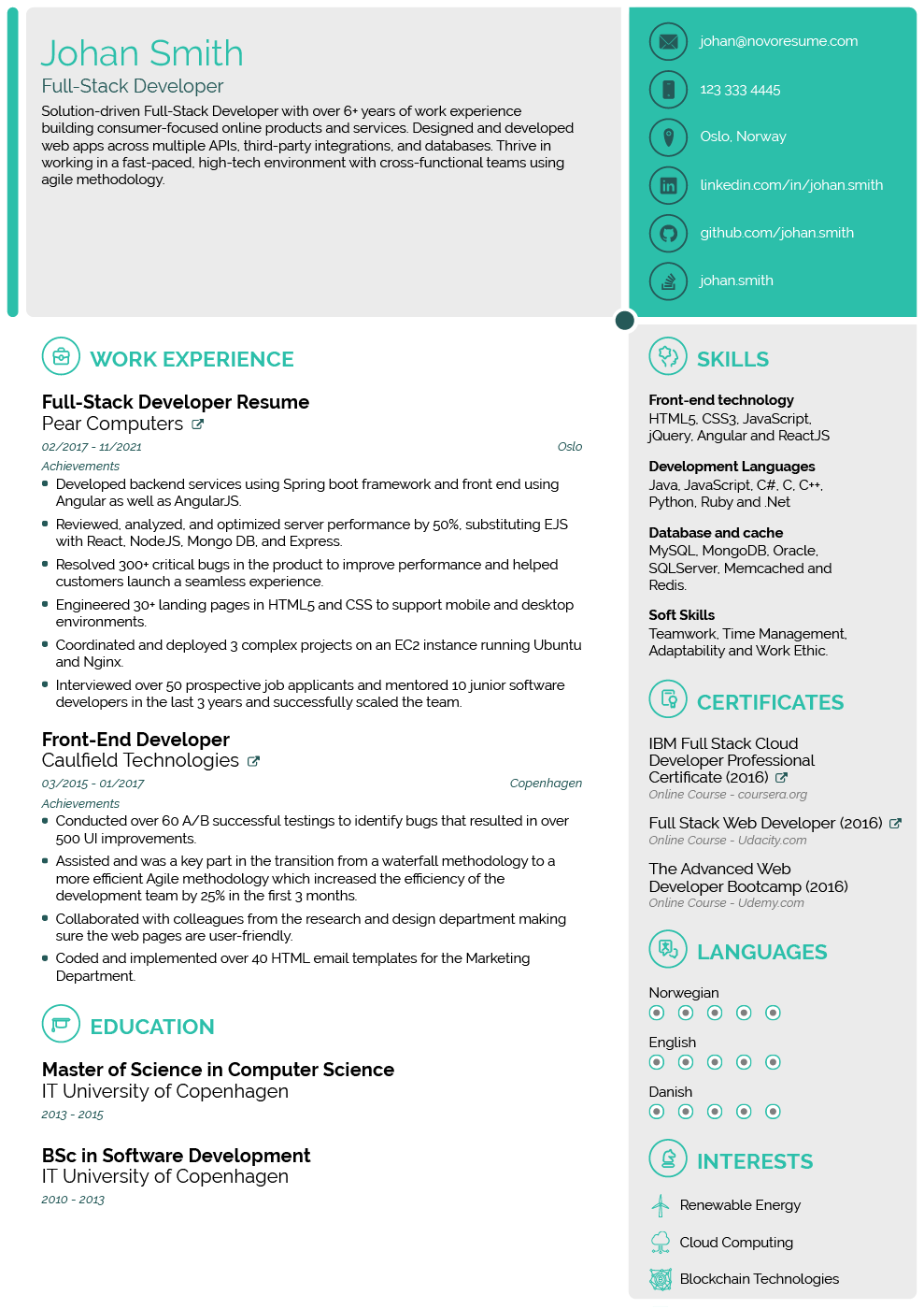 UK Resume Example